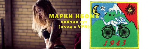 спайс Покачи