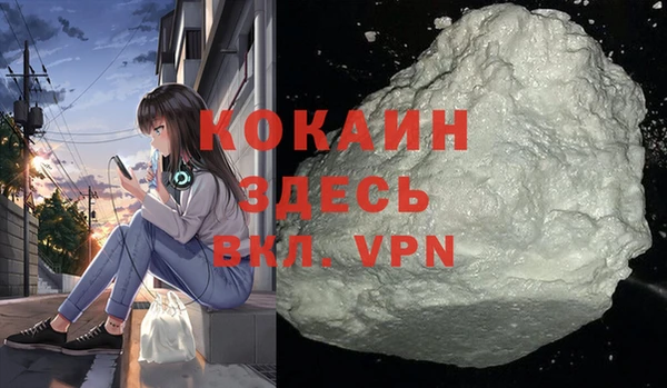 шишки Усолье-Сибирское