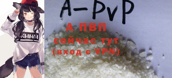 шишки Усолье-Сибирское