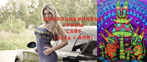 шишки Усолье-Сибирское